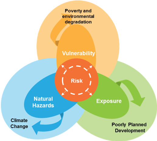 Risk Profiles